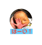 じぃじが作ったレンレンスタンプ（個別スタンプ：1）