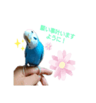 ことりさんの可愛い1日。〜年末年始編〜（個別スタンプ：3）