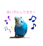 ことりさんの可愛い1日。〜年末年始編〜（個別スタンプ：4）