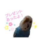 ことりさんの可愛い1日。〜年末年始編〜（個別スタンプ：5）