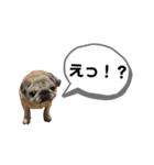 脱力スパイラル2（個別スタンプ：1）