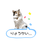 にゃんneko☆（個別スタンプ：5）