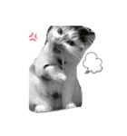 にゃんneko☆（個別スタンプ：8）