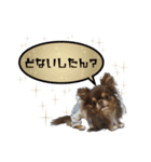 関西弁ver 犬スタンプ（個別スタンプ：4）