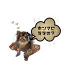 関西弁ver 犬スタンプ（個別スタンプ：14）