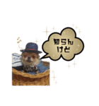関西弁ver 犬スタンプ（個別スタンプ：16）