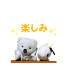 しろくまのぬいぐるみ「しろちゃん」-うし-（個別スタンプ：23）