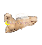 ポメポメパラダイス（個別スタンプ：11）