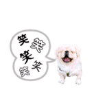 さーちんず1（個別スタンプ：2）