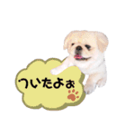 さーちんず1（個別スタンプ：3）