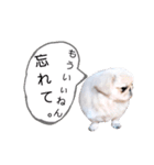 さーちんず1（個別スタンプ：11）