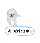 さーちんず1（個別スタンプ：12）