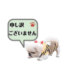さーちんず1（個別スタンプ：14）