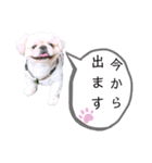 さーちんず1（個別スタンプ：16）