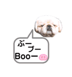 さーちんず1（個別スタンプ：17）