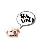 さーちんず1（個別スタンプ：20）