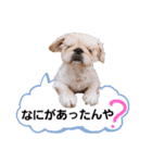 さーちんず1（個別スタンプ：28）