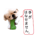さーちんず1（個別スタンプ：29）