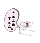 さーちんず1（個別スタンプ：30）