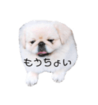 さーちんず1（個別スタンプ：34）
