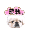 さーちんず1（個別スタンプ：36）