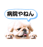 さーちんず1（個別スタンプ：39）