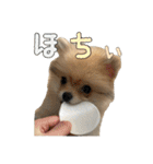 飼い主が使いたいだけ（個別スタンプ：14）