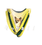 飼い主が使いたいだけ（個別スタンプ：32）