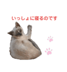 ねむねむネコ（個別スタンプ：4）