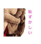 ねむねむネコ（個別スタンプ：23）