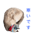 ねむねむネコ（個別スタンプ：33）