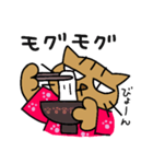 キジトラ猫のぴー助さん☆New Year ver.（個別スタンプ：6）