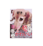 アハハハ！、！（個別スタンプ：1）