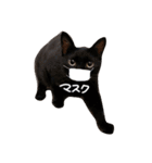 密なねこ達（個別スタンプ：32）