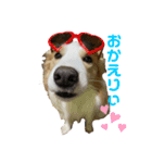 SUBARUだらけっ（個別スタンプ：1）
