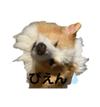 SUBARUだらけっ（個別スタンプ：18）