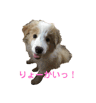 SUBARUだらけっ（個別スタンプ：19）