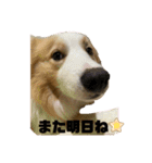 SUBARUだらけっ（個別スタンプ：22）