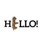 ぽぽんぷ②（個別スタンプ：1）