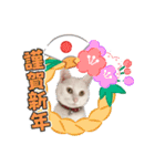 蘭丸ちゃん！（個別スタンプ：1）
