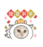 蘭丸ちゃん！（個別スタンプ：2）