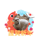 蘭丸ちゃん！（個別スタンプ：3）