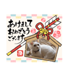 蘭丸ちゃん！（個別スタンプ：4）