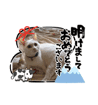 蘭丸ちゃん！（個別スタンプ：5）