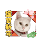 蘭丸ちゃん！（個別スタンプ：6）