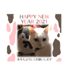 蘭丸ちゃん！（個別スタンプ：7）
