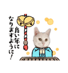 蘭丸ちゃん！（個別スタンプ：11）