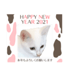 蘭丸ちゃん！（個別スタンプ：12）