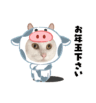 蘭丸ちゃん！（個別スタンプ：13）