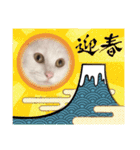 蘭丸ちゃん！（個別スタンプ：14）